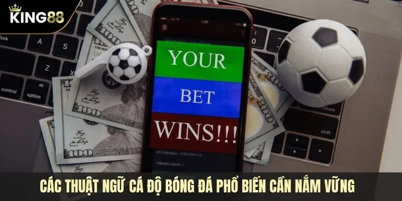 Các thuật ngữ cá độ bóng đá phổ biến người chơi cần nắm vững